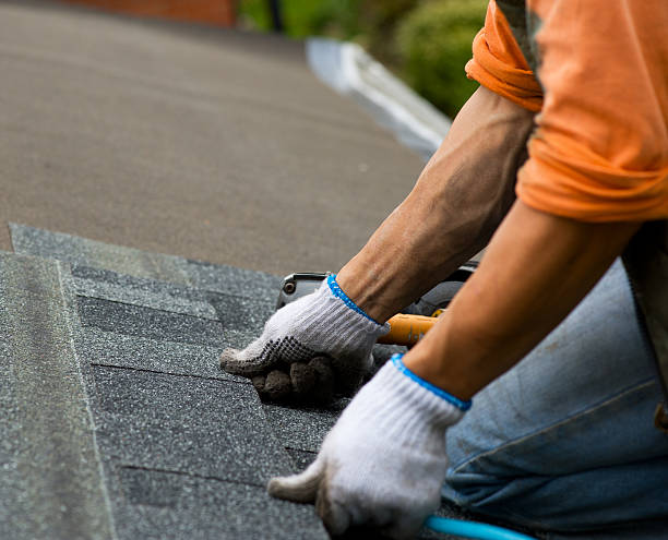 Best Roof Gutter Cleaning  in Phillipsburg, GA